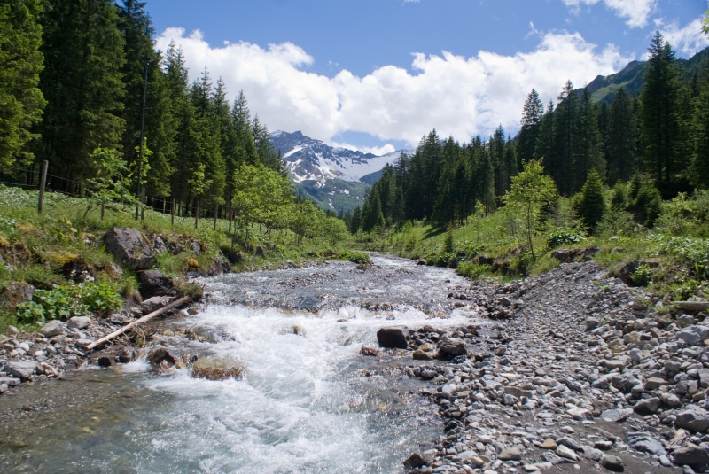 near, cloudy, mountain, pine trees, wolken, tree, berge, trees, outdoors, day, nature, rock - Object, water, forest, river, 4K, wasser, bach, Mountain stream