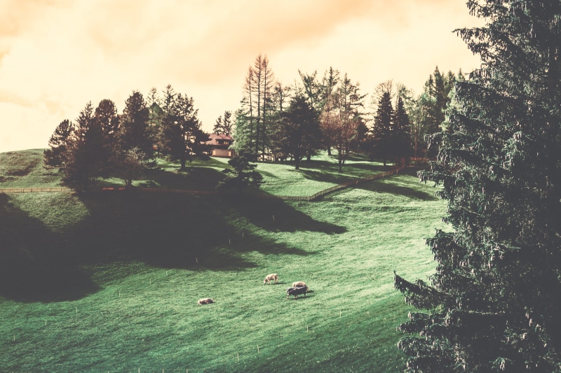 sky, scenics - nature, farmlife, alp, mountain, cloud - sky, tranquil scene, land, vaduz, day, plant, lietchenstein, environment, green color, forest, 5K