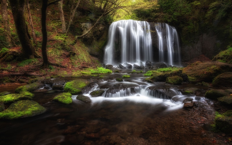 scenics - nature, rock, motion, tree, desktop, fudo, waterfall, landscape, smartphone, blurred motion, environment, forest, outdoors, rainforest