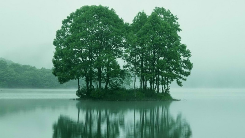 leaf, 1080P, fukushima, green, japan, trees