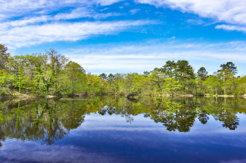 water, growth, idyllic, reflection, mount bandai, marsh, urabandai, eastern japan, sky, 5K, cloud - sky, tranquility, scenics - nature, fukushima, astragalus swamp