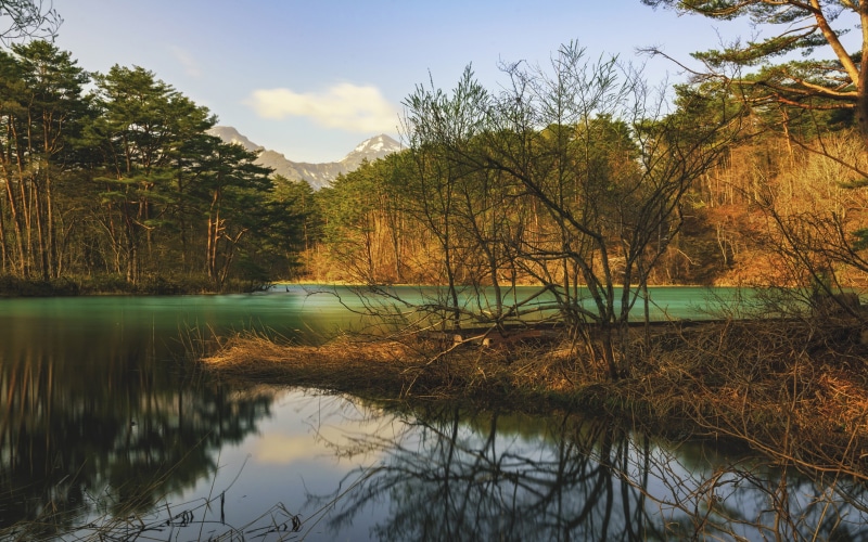 tree, reflection, beauty in nature, 4K, five, plant, foot, goshiki, cohen, fukushima, cloud - sky, bandai, mountain, water, no people, day, idyllic, landscape