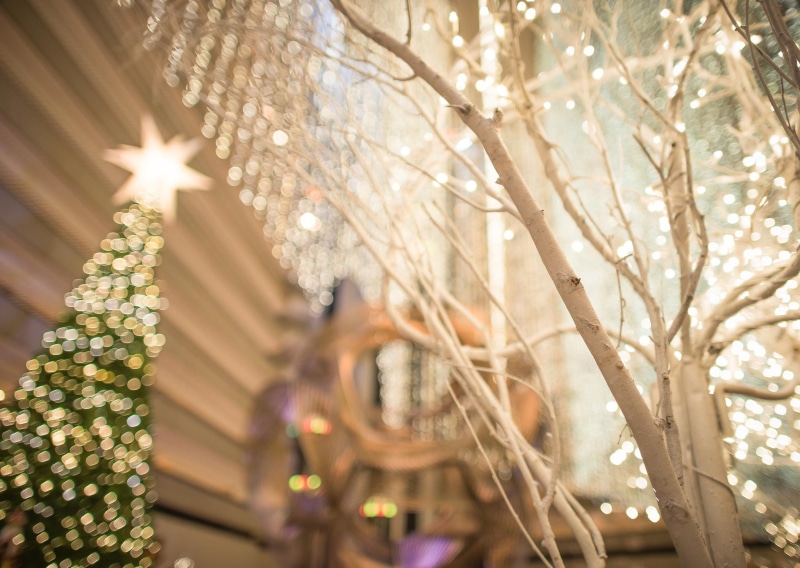 architecture, snow, celebration, San Francisco, brown, illuminated, outdoors, holiday, no people, nature, backgrounds, Christmas, plant, New year, decoration