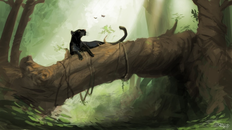 jungle, drawing, hd, digital/artwork, 1080P, panther