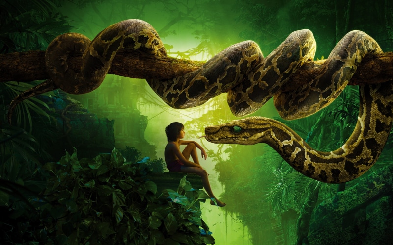 Snake, Mowgli, 2K, Book, Jungle, kaa