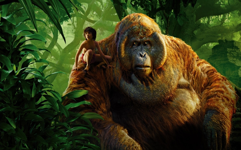 Book, 2016, Jungle, tarzan, Gorilla, 2K, Boy