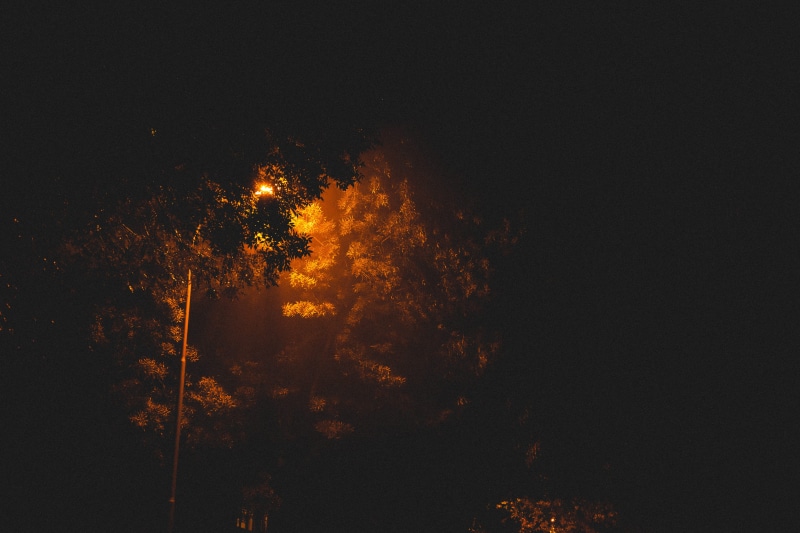 city, fire - natural phenomenon, plant, glowing, bonfire, communication, low, sky, turned, urban, night, dawn, tree, dusk, orange color, flare, motion