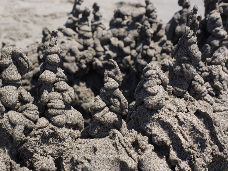 food, focus on foreground, holiday, build, pattern, sandburg, day, abundance, klecker castle, towers, beach, sunlight, no people, selective focus, sea