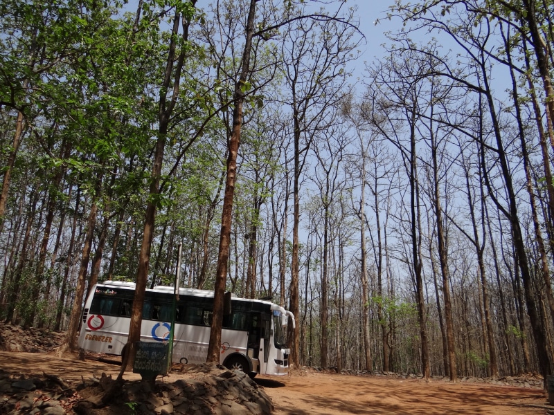 karnataka, day, 2K, woodland, transportation, no people, india, growth, sign, branch, mode of Transport, Bus, outdoors, forest, Travel, people Traveling