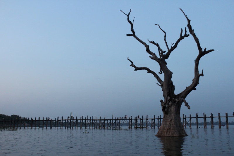 bare tree, scenics - nature, water, plant, outdoors, day, beauty in nature, abendstimmung, myanmar, tree, waterfront, bridge, sky, u leg bridge, sunset