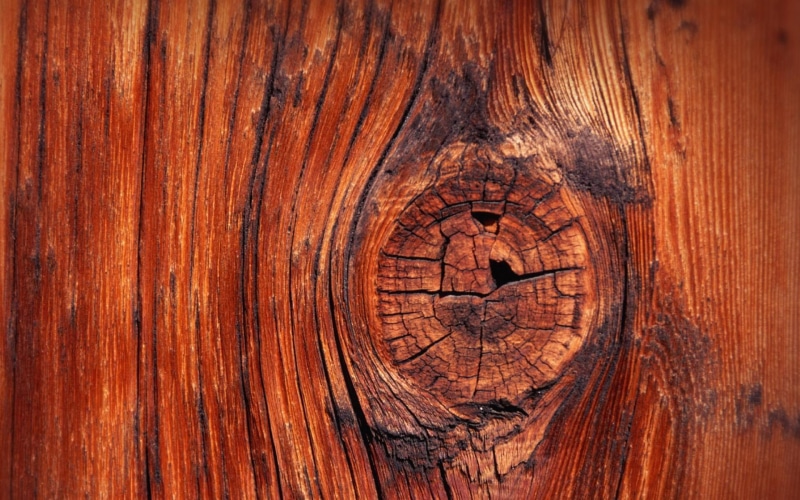 panel, knot, wooden, 1920x1200, wood, 1080P, brown, photography