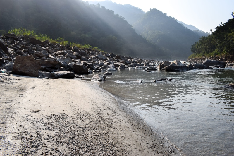 nature, large group of animals, animal, flowing water, rock - object, ganga, rocks, domestic animals, animal themes, vertebrate, beach, river, water, solid