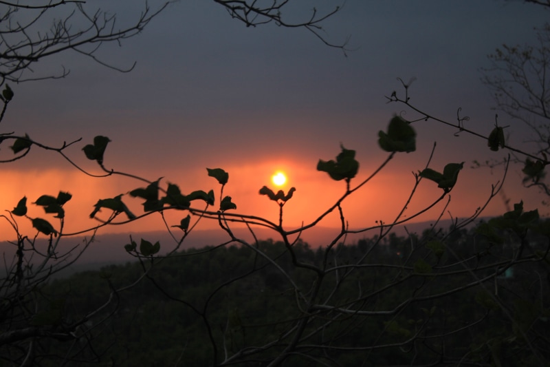 non-urban scene, 5K, red, branch, growth, rishikesh, outdoors, idyllic, low angle view, tree, tranquil scene, sunset, bare tree, beauty in nature, nature