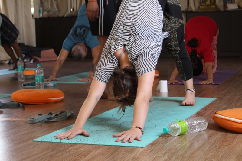 sport, 300hour, teacher, 200, son, 4K, 500hour, indoors, women, wellbeing, group of people, rishikesh, incidental people, females, yoga, real people, training