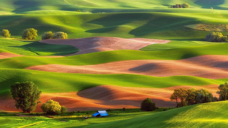 USA, Park, 1080P, Butte, Steptoe, House, State, Fields, Trees