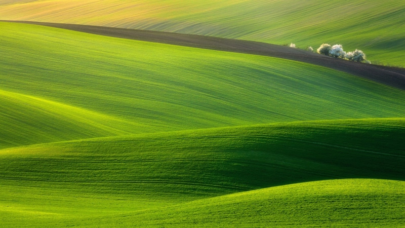 1080P, plain, 4K, naturel, nature, green, wales, 1920x1080