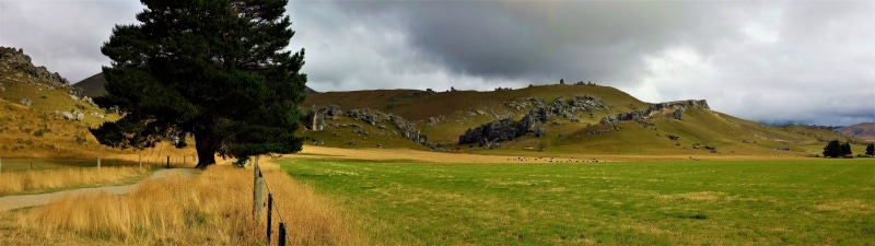 grass, activity, mountain, outdoors, plant, Mt Cook, green color, golf course, panoramic, New Zealand, scenics - nature, land, tree, sky, cloud - sky, landscape