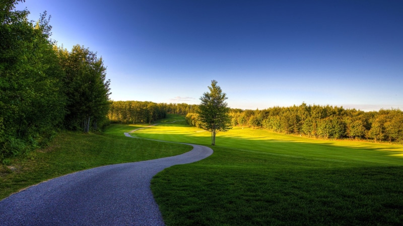 outdoors, grass, hd  desktop nature images wide screen 1920x1080, nature, no people, tranquility, land, green color, turf, tree, plant, environment, sky