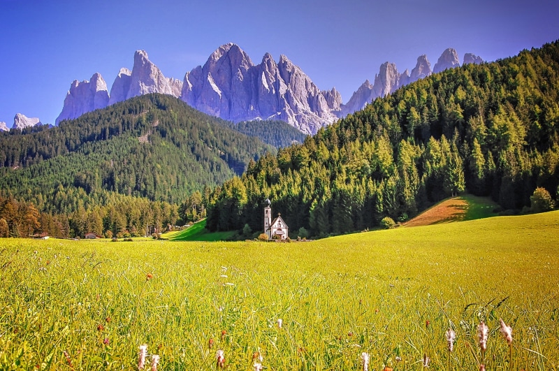 field, mountain peak, meadow, south tyrol, walk, no people, panorama, coniferous tree, funes, plain, pine tree, beauty in nature, alpine, tree, geisler range