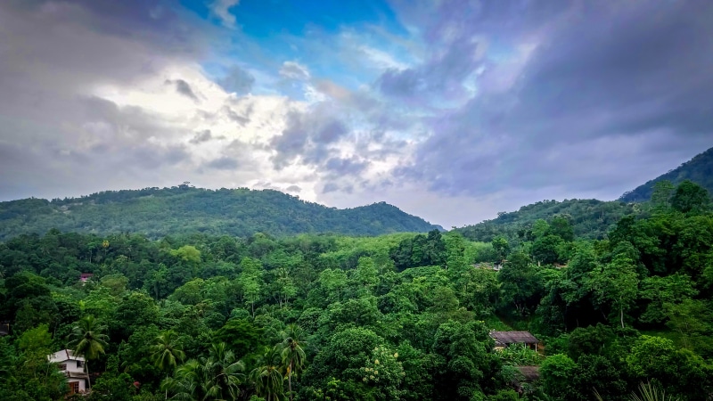 tranquility, hill station, kandy, beauty in nature, mount scenery, asia, wilderness, rainforest, highland, mountainous landforms, tranquil scene, no people