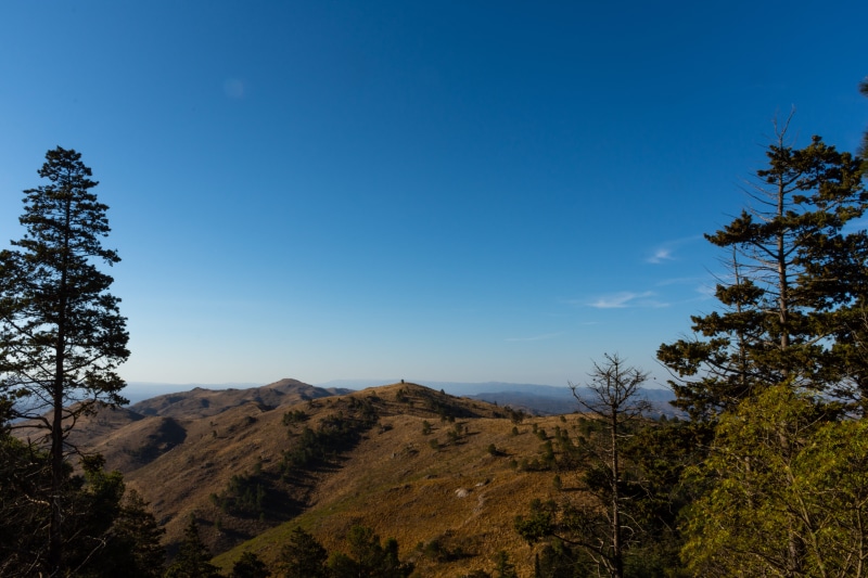 mountain peak, 5K, sky, non-urban scene, idyllic, tree, beauty in nature, mountain, las sierras, environment, sierras, scenics - nature, trees, outdoors