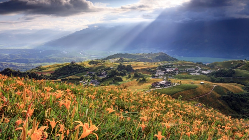 mountainside, wilderness, sun ray, flower, countryside, sixty rock mountain, hemerocallis fulva, vegetation, daylily, village, asia, sixty stone mountain