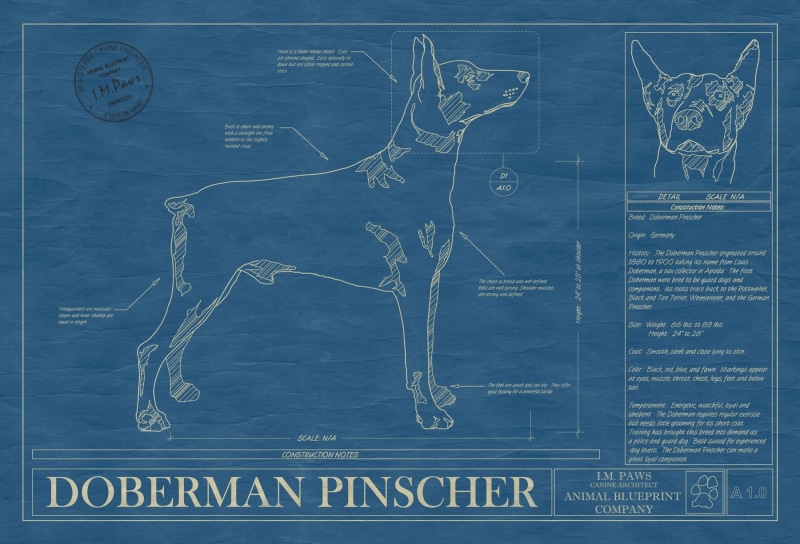shape, technology, no people, text, sign, Pinscher, blue, fuel and power generation, art and craft, business, Doberman, nature, creativity, communication