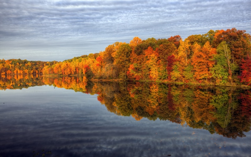 Autumn, Trees, 1080P, Sky, Lake, Reflection, Scenery, Water, Nature