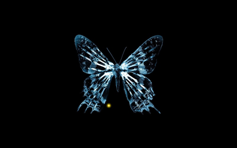 3d, animals, 2K, animal, blue, skeleton, abstract, butterfly, dark