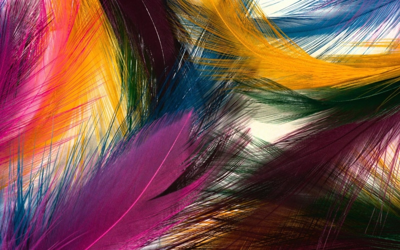 1080P, hd, feather, colorful, 1920x1200