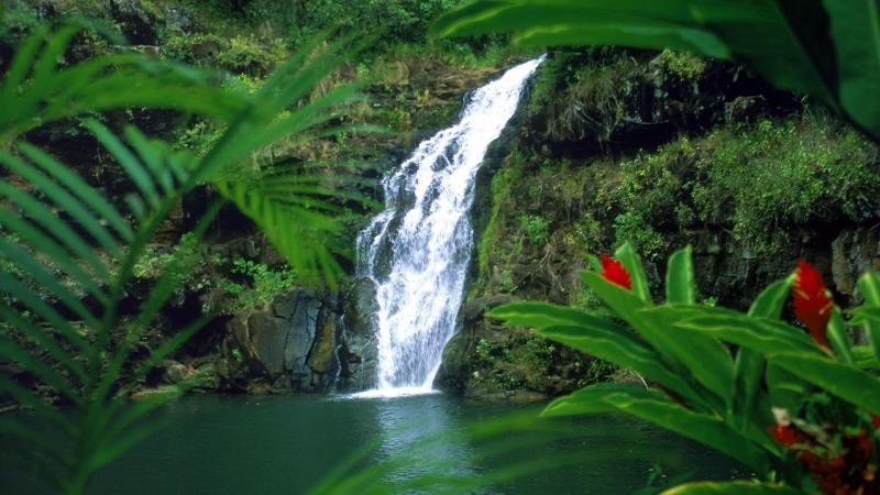 1080P, oahu, falls, hawaii, widescreen, waterfalls