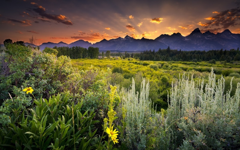 land, sunset, computer background  nature beauty 1920x1200, non-urban scene, nature, mountain, flowering plant, environment, beauty in nature, mountain range