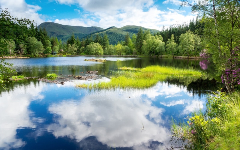 computer background  nature beauty 1920x1200, 1080P