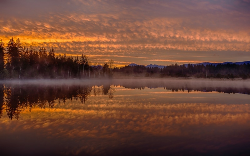 1080P, computer background  nature beauty 1920x1200