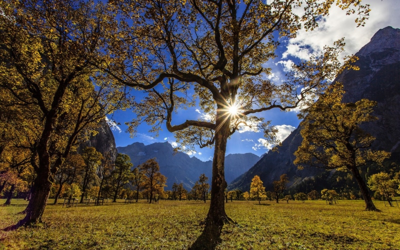 change, computer background  nature beauty 1920x1200, day, idyllic, autumn, outdoors, plant, tranquility, field, nature, sky, mountain, tree trunk, land