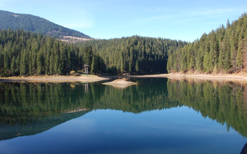 no people, plant, beauty in nature, reflection, tranquil scene, scenics - nature, tree, waterfront, growth, non-urban scene, sky, tranquility, pine tree