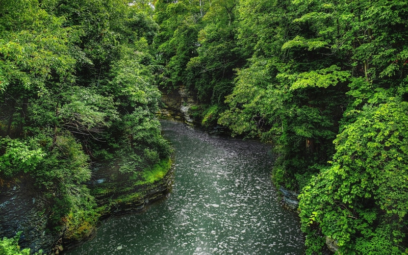 computer background  nature beauty 1920x1200, 1080P