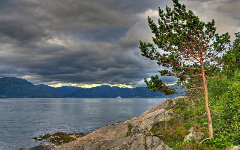 storm, tree, nature, mountain range, plant, mountain, land, beauty in nature, scenics - nature, non-urban scene, sky, tranquil scene, no people, environment