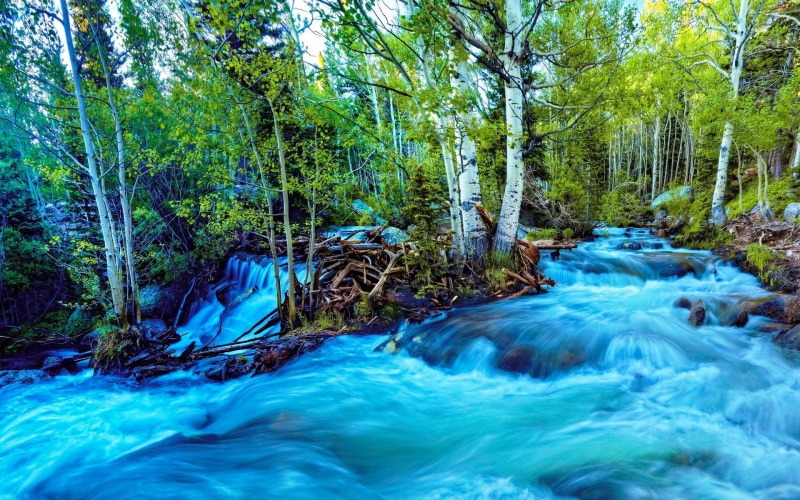 1080P, computer background  nature beauty 1920x1200