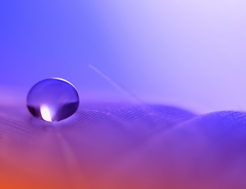 reflection, circle, FEATHER, abstract, photography, 4K, SHINE, macro photography, HSS, sphere, WATER, macro, shiny, DROP, LIGHT, Into The Unknown, SCOTLAND