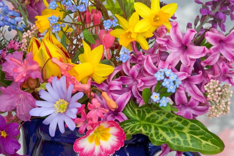 flower, spring, world, season, yellow, 1080P, dn, flowers, garden, purple, 3d and abstract, colorful, petal, green, beauty