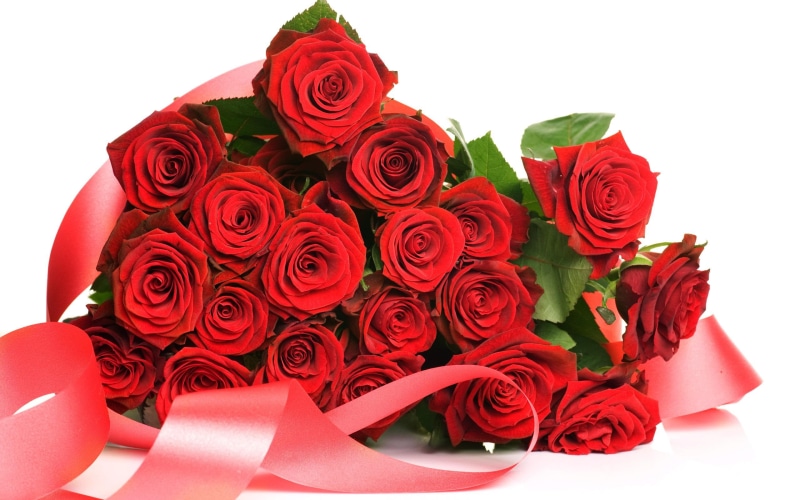 3d and abstract, 2K, bouquet, red, flower, roses, nature, petal, dn, rose