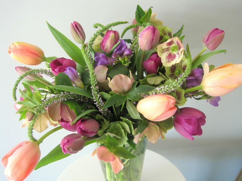 soul, beautiful, photo, flowers, photography, 2K, 3d and abstract, memebers, dn, tulips, flower-pot
