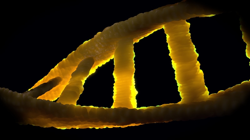 no people, fruit, bond, silhouette, double helix, 5K, science, close-up, dns, nature, slice, genetic material, thymine, food, healthy eating, molecular