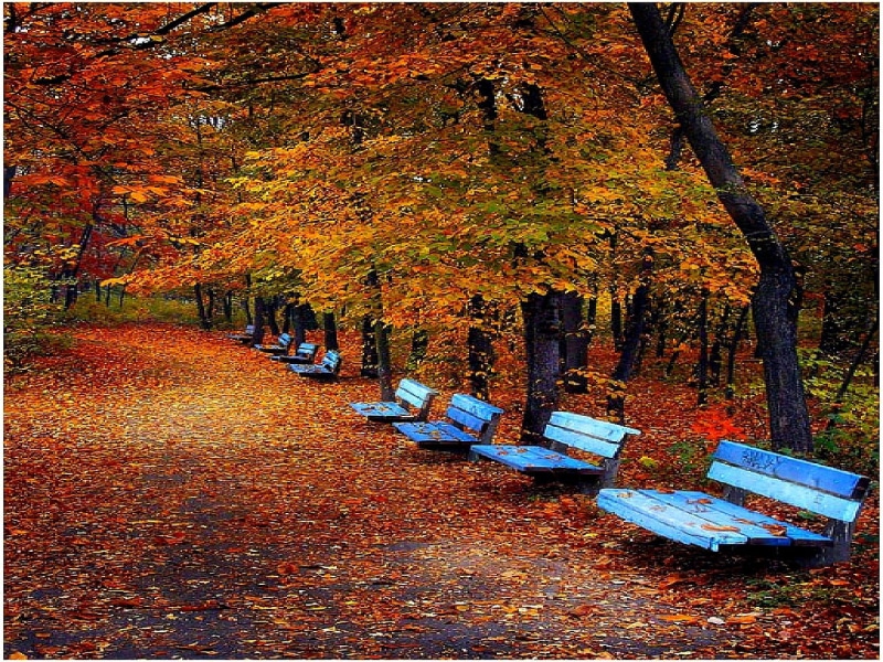 art, benches, blue benches, Bulgaria, dn, seats, friends, 720P, hd, fall, nature, autumn, leaves