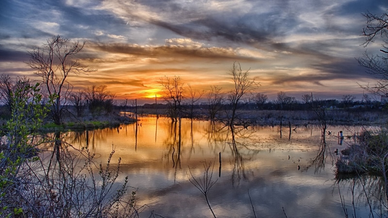 sunset, lake, reflection, idyllic, outdoors, bare tree, tranquil scene, beauty in nature, scenics - nature, no people, water, plant, reflection lake, tree