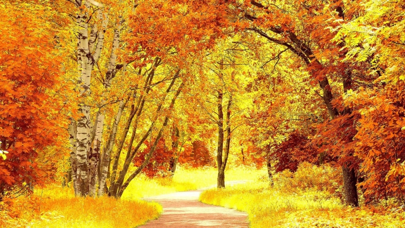 1080P, for desktop nature scenes beautiful scenery 1920x1080