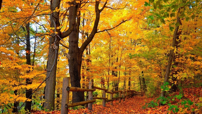 1080P, for desktop nature scenes beautiful scenery 1920x1080