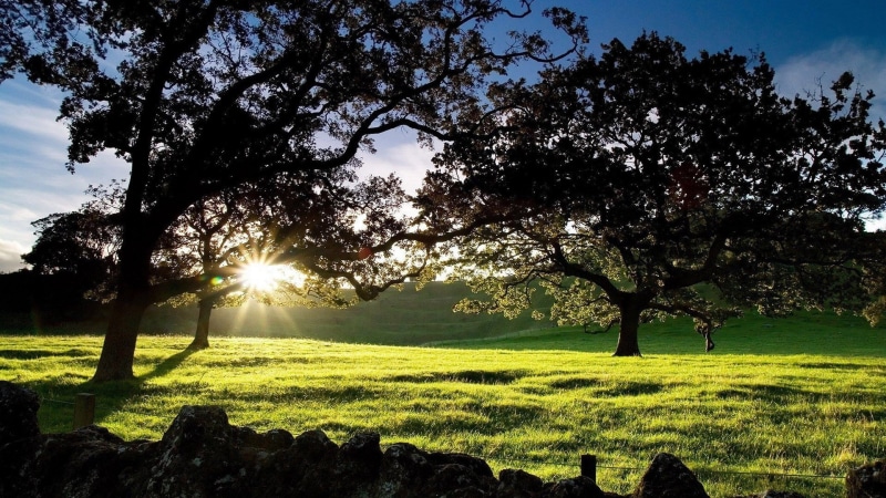 1080P, for desktop nature scenes beautiful scenery 1920x1080