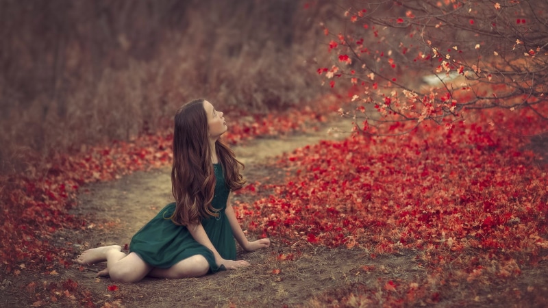contemplation, red, hairstyle, leaf, beautiful woman, nature, plant part, plant, beautiful girl woman images 1920x1080, 1080P, tree, lifestyles, sitting
